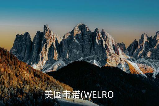 美國韋諾(WELRO