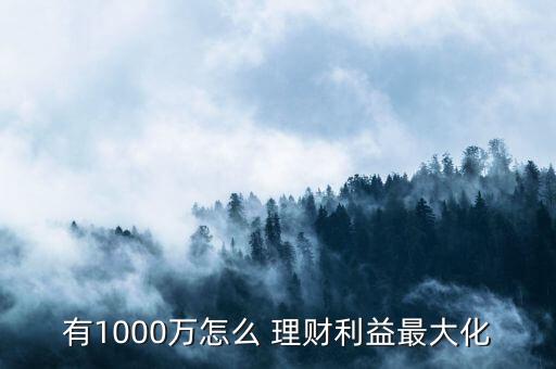 有1000萬(wàn)怎么 理財(cái)利益最大化