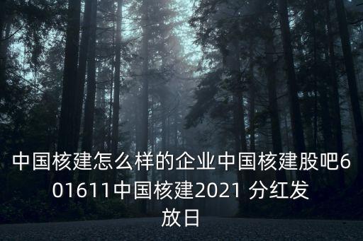 中國(guó)核建怎么樣的企業(yè)中國(guó)核建股吧601611中國(guó)核建2021 分紅發(fā)放日