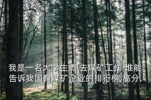 我是一名大學生,想去煤礦工作,誰能告訴我國有煤礦企業(yè)的排行榜,高分...