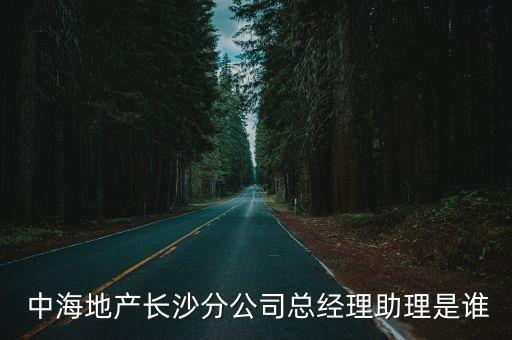  中海地產(chǎn)長沙分公司總經(jīng)理助理是誰