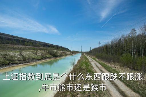 上證指數(shù)到底是個(gè)什么東西跟跌不跟漲,牛市熊市還是猴市