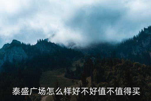  泰盛廣場(chǎng)怎么樣好不好值不值得買(mǎi)