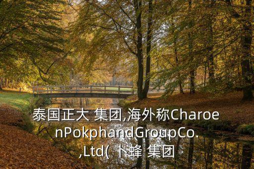 泰國正大 集團(tuán),海外稱CharoenPokphandGroupCo.,Ltd( 卜蜂 集團(tuán)