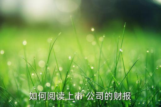 格力公司利潤表分析