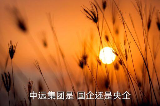 國(guó)企遠(yuǎn)洋公司有哪些,遠(yuǎn)洋公司是國(guó)企嗎