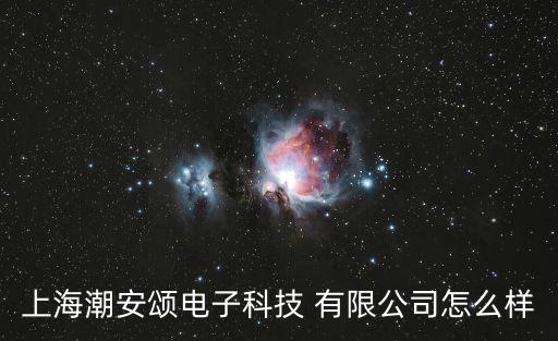 上海潮安頌電子科技 有限公司怎么樣