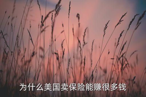 美國保險(xiǎn)公司投資策略