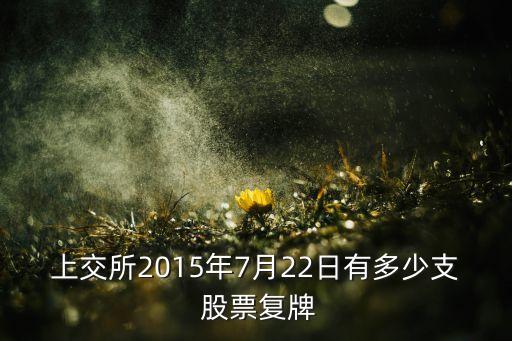 上交所2015年7月22日有多少支 股票復(fù)牌