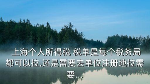  上海個(gè)人所得稅 稅單是每個(gè)稅務(wù)局都可以拉,還是需要去單位注冊地拉需要...