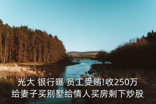 光大 銀行曝 員工受賄!收250萬(wàn)給妻子買別墅給情人買房剩下炒股