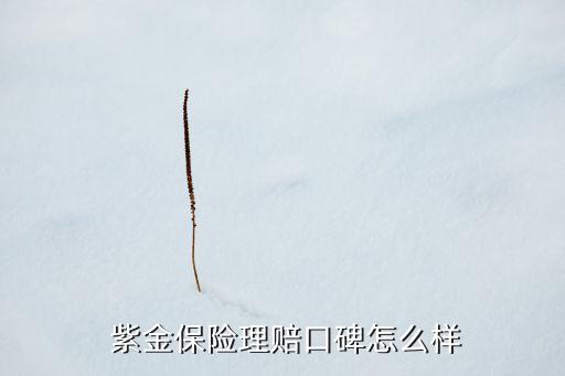  紫金保險(xiǎn)理賠口碑怎么樣