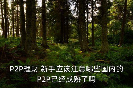 p2p網貸新手投資人投資指南