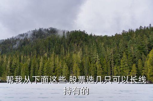 幫我從下面這些 股票選幾只可以長(zhǎng)線持有的