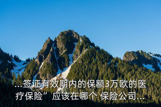 ...簽證有效期內(nèi)的保額3萬歐的醫(yī)療保險(xiǎn)”應(yīng)該在哪個(gè) 保險(xiǎn)公司...