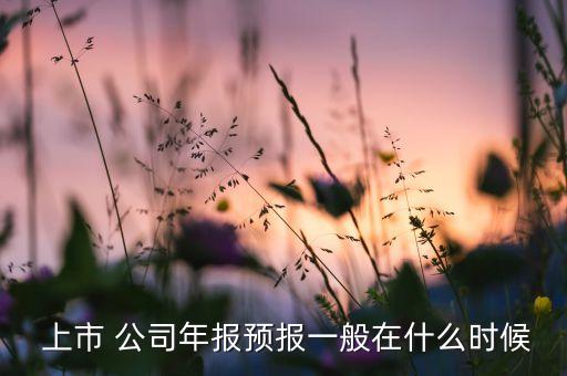  上市 公司年報(bào)預(yù)報(bào)一般在什么時(shí)候