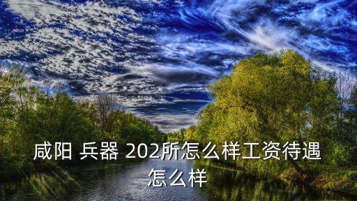 咸陽 兵器 202所怎么樣工資待遇怎么樣