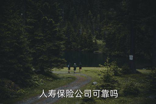  人壽保險公司可靠嗎