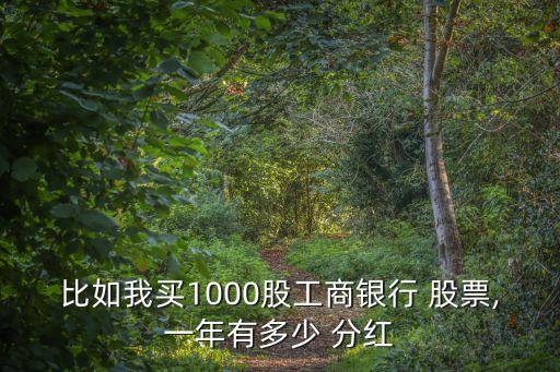 比如我買1000股工商銀行 股票,一年有多少 分紅