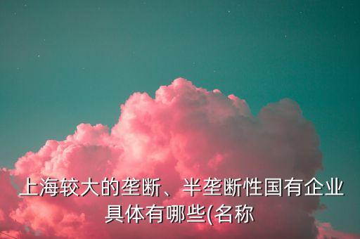  上海較大的壟斷、半壟斷性國有企業(yè)具體有哪些(名稱