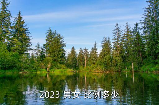 2023 男女 比例多少