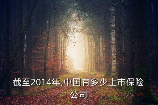 截至2014年,中國有多少上市保險(xiǎn)公司