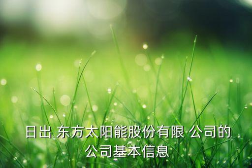  日出 東方太陽(yáng)能股份有限 公司的 公司基本信息