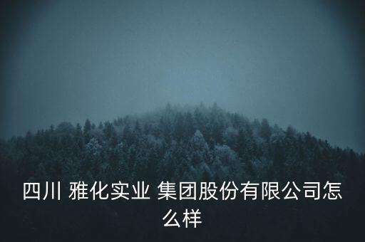 四川 雅化實業(yè) 集團股份有限公司怎么樣