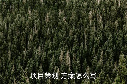 成立人力資源公司項(xiàng)目可行性方案