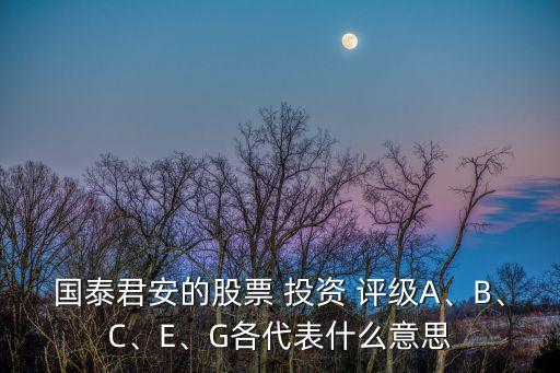 國泰君安的股票 投資 評級A、B、C、E、G各代表什么意思