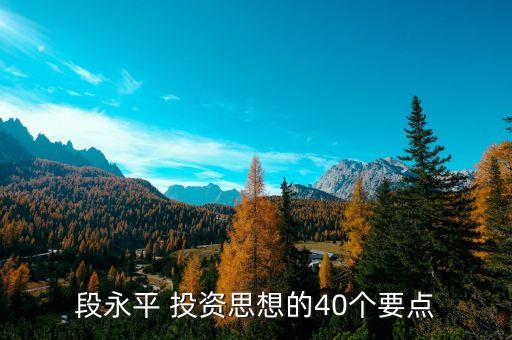 段永平 投資思想的40個要點(diǎn)