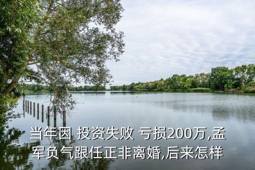 中國(guó)投資虧損,投資失敗虧損200萬(wàn)