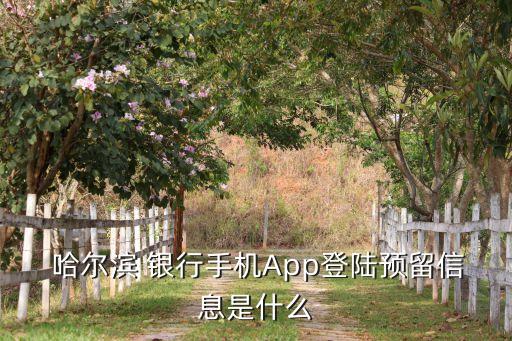  哈爾濱 銀行手機App登陸預(yù)留信息是什么