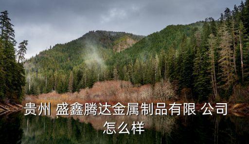 盛鑫貴州煤礦公司股東,彎田集團貴州的煤礦的股東