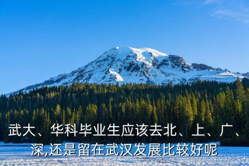 武大、華科畢業(yè)生應(yīng)該去北、上、廣、深,還是留在武漢發(fā)展比較好呢