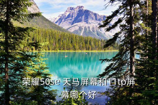 榮耀50se 天馬屏幕和11tp屏幕哪個好