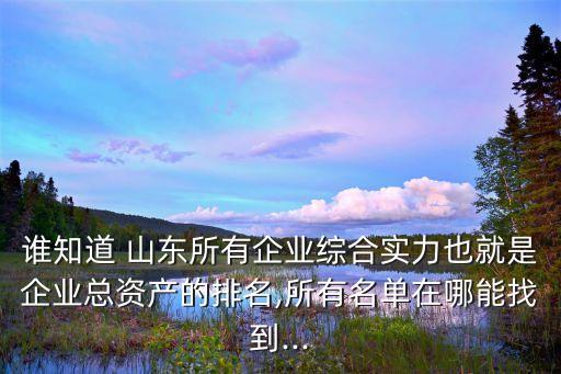 誰知道 山東所有企業(yè)綜合實(shí)力也就是企業(yè)總資產(chǎn)的排名,所有名單在哪能找到...