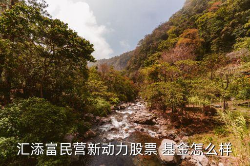 匯添富民營新動力股票 基金怎么樣