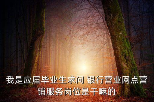 我是應(yīng)屆畢業(yè)生求問 銀行營(yíng)業(yè)網(wǎng)點(diǎn)營(yíng)銷服務(wù)崗位是干嘛的