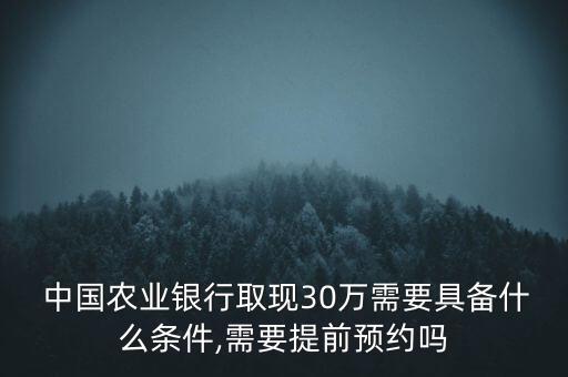  中國農業(yè)銀行取現30萬需要具備什么條件,需要提前預約嗎