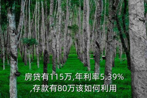  房貸有115萬,年利率5.39%,存款有80萬該如何利用