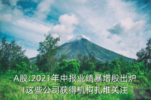 A股:2021年中報業(yè)績暴增股出爐!這些公司獲得機構扎堆關注