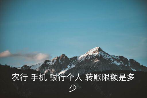 農(nóng)行 手機(jī) 銀行個人 轉(zhuǎn)賬限額是多少