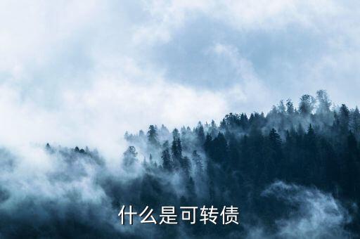 什么是可轉(zhuǎn)債