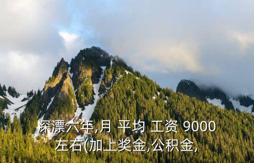 深漂六年,月 平均 工資 9000左右(加上獎金,公積金,