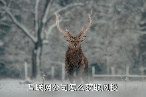 獲得風(fēng)險(xiǎn)投資