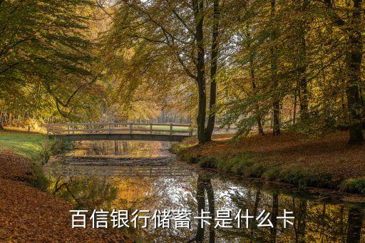 百信銀行儲(chǔ)蓄卡是什么卡