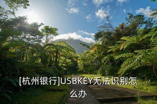 [杭州銀行]USBKEY無法識(shí)別怎么辦