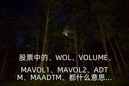  股票中的、WOL、VOLUME、MAVOL1、MAVOL2、ADTM、MAADTM、都什么意思...