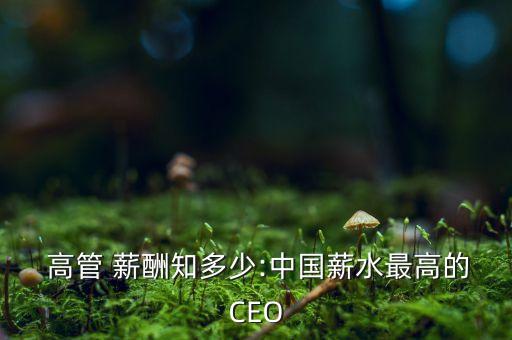  高管 薪酬知多少:中國薪水最高的CEO